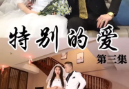 特别的爱hd电视剧,HD电视剧深度解析