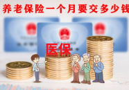 养老保险一个月交多少钱,月缴金额一览与政策解读”
