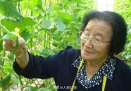 小小红娱乐吃瓜说,揭秘娱乐圈幕后故事与热点事件