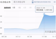 270005基金净值查询今天,270005基金今日净值及投资洞察